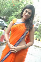 Actress Shraddha Das Saree Photos